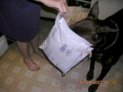 Zeva - Zeva gets mail