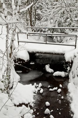 Snow Bridge