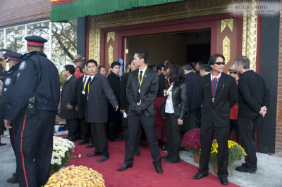 d-48.jpg