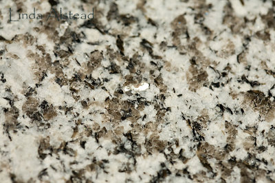 23rd March 2009 - granite