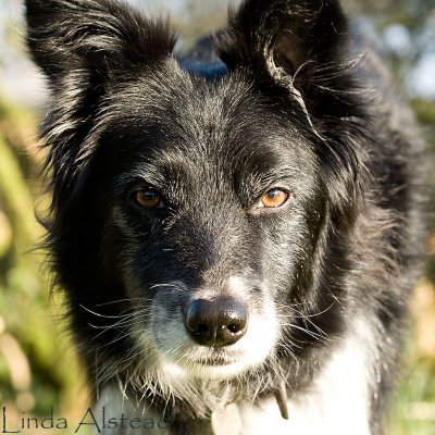 18th February 2008 - butter wouldn't melt.....