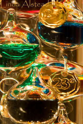 19th February 2008 - colourful