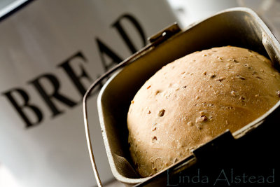21st February 2008 - daily bread