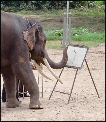 elephant artist.jpg
