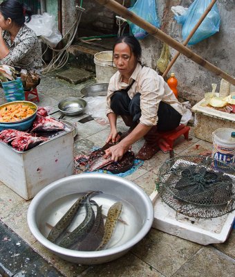 Hanoi street market.jpg