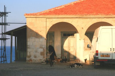Apostolos Andhreas monastery