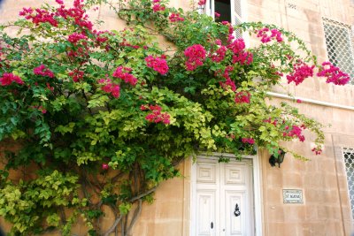 Malta - Mdina