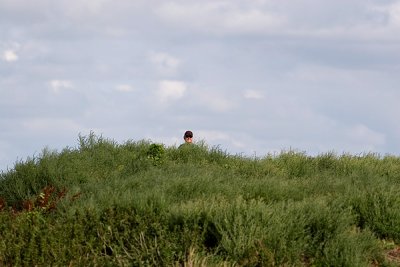 IMG_1782.jpg