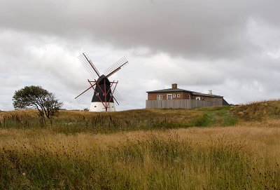 IMG_1869.jpg
