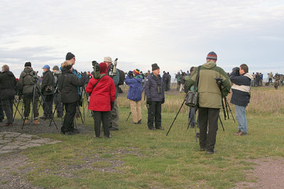 Exkursion med Skvde fgeklubb till land 9-11 Oktober 2009