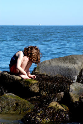 DSC_0013wppr.jpg