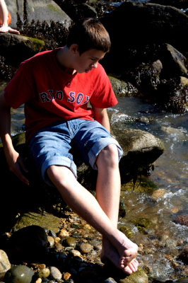 DSC_0035wppr.jpg