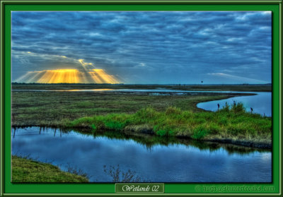 Wetlands02-Px1.jpg