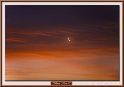 WinterMoon05-LR2.jpg