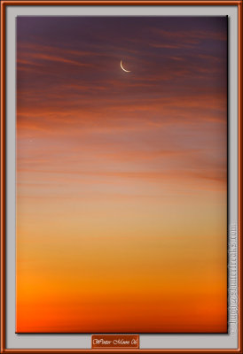 WinterMoon06-LR2.jpg