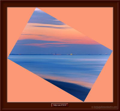 TulipLane-0710-05.jpg