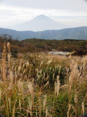 Mt Fuji