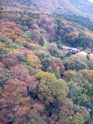 Autum view at Hakone