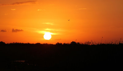 g1/52/321252/3/128481829.frDVj19B.jpg