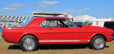 Mustang at Daytona