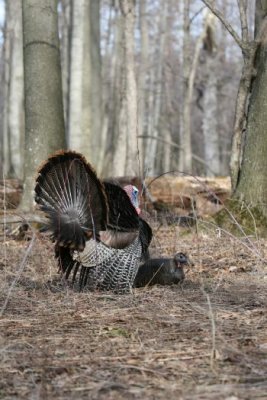 IMG_4348.jpg