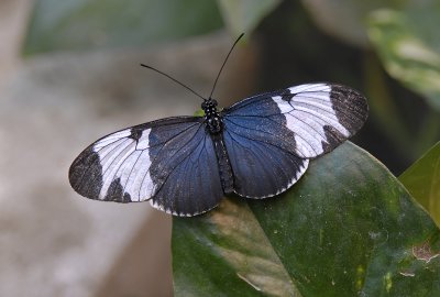 g1/52/363052/3/129479486.WyLnD85d.jpg