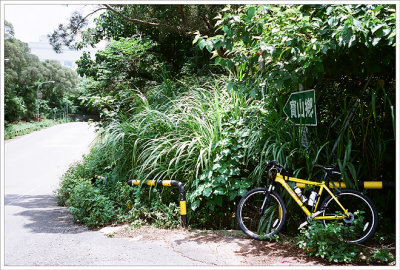 g1/52/374252/3/106385640.8fKTeOB7.jpg