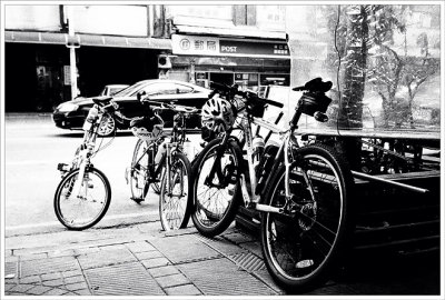 Biking photos in 2008