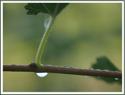 September 11 - A Rainy Day