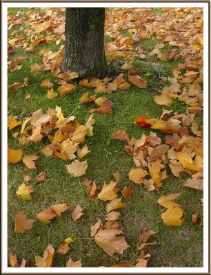 October 06 - Already