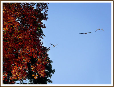 October 18 - Heading Toward Fall