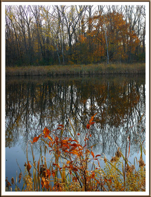 November 04 - A Sunny Autumn Morning