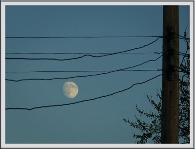 November 11 - Wired Moon