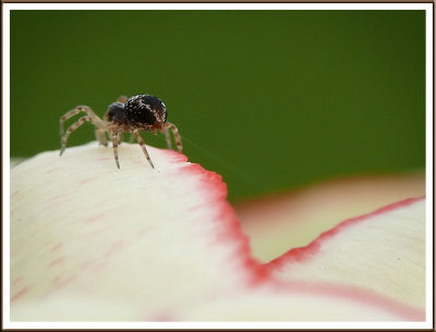May 09 - Spinning a Web