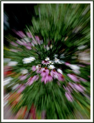 g1/52/382352/3/115004131.68wIBA0G.jpg