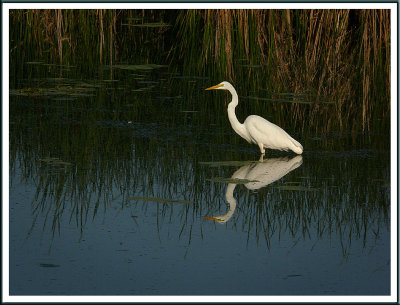 August 22 - Early Morning Stillness