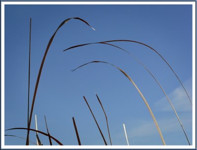 November 01 - Arches