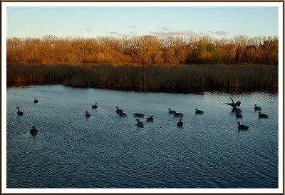 November 04 - Morning