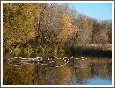 November 07 - An Autumn Afternoon