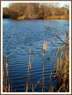 November 11 - Early Morning Sun