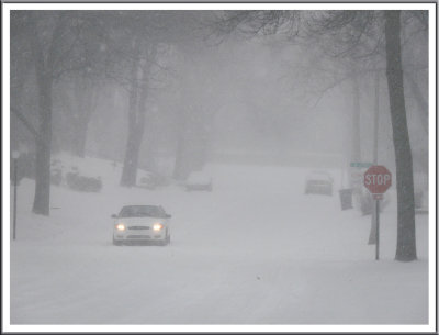 November 13 - Not Summer Anymore