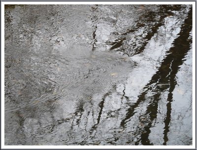 NOvember 21 - Water Patterns