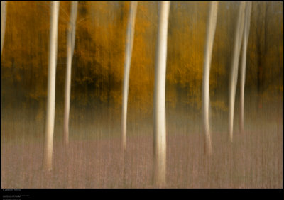 g1/52/386352/3/106195568.jmGZvrgx.jpg