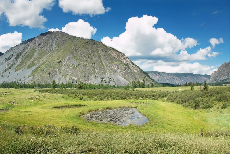 Altai