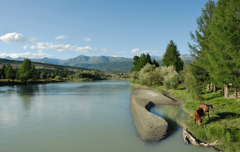 Altai. Near Dzhazator village