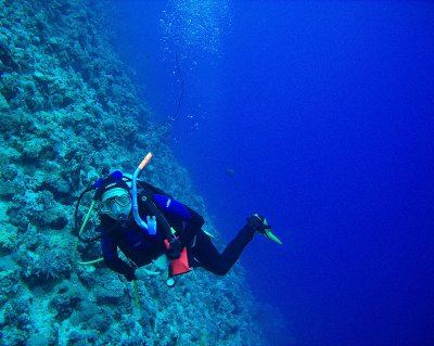 g1/52/413652/3/103161822.TRhH4lCB.jpg