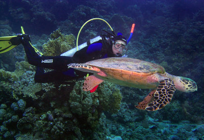 My first diving safari - Egypt, Red Sea, from Marsa Alam port to Saint John's reefs