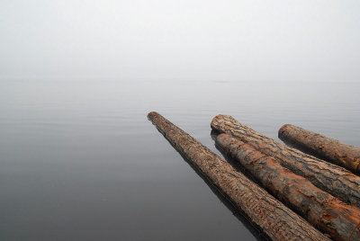 The Yenisei river. Landscape with firewoods