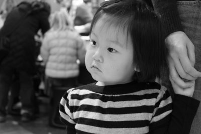 g1/52/446652/3/127430278.gX5hV0i1.jpg