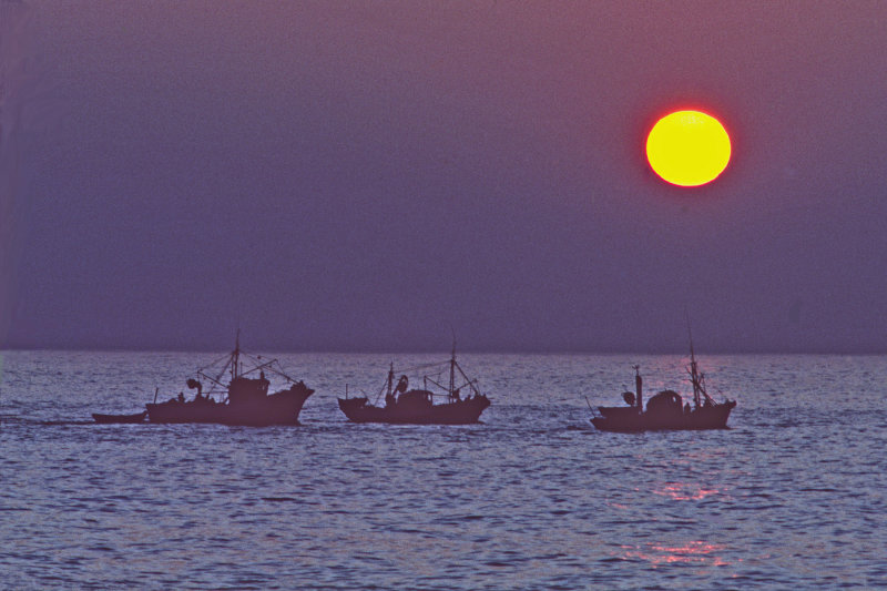 PORTUGUESE FISHING BOATS